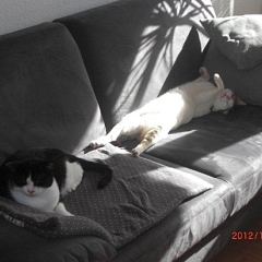 Loyd und Ramiro sind die besten Kumpels!