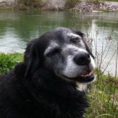 Roky macht allen grosse Freude