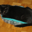 Findus