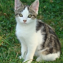 Charly