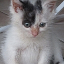 Jinny