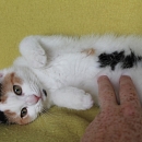Lucky