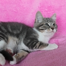 Louis