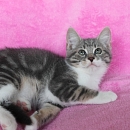 Louis