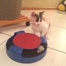 Nala