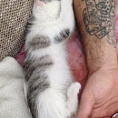 Cleo