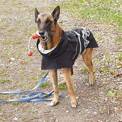 Pablo ist ein witziger Kerl
