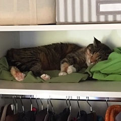 Melodie hat heute Geburtstag