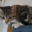 Susie aka Schmuse-Suse