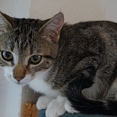 Susie aka Schmuse-Suse