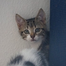 Susie aka Schmuse-Suse