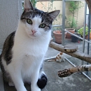 Rita