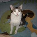 Rita