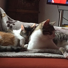 Rosa (ehem. Bubble) und Woody - Sorgen für viel Action