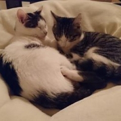 Mina und Bella im eigenen Zuhause