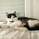 Lola