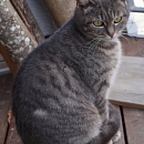 Magda