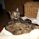 Yuna und der kleine Racker Dijon!