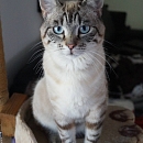Bernie