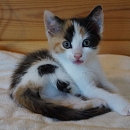 Thelma