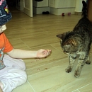 Darwin und Selina geniessen den Freigang