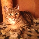 Emilie