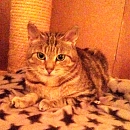 Emilie