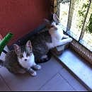 Neues von Sid & Peaches