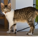  Kiki Klettermaus