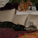 Grüsse von Melodie & Vinja & Visa