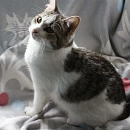  Jasmina (Flauscheweich)