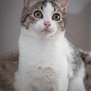  Jasmina (Flauscheweich)