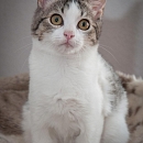  Jasmina (Flauscheweich)