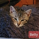 Betty