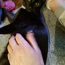 Oskar