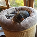 Oskar