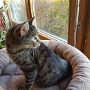 Oskar