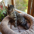 Oskar