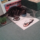 Post von Lucky und Kiss