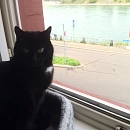 Carla