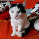 Sammy