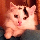 Pearl