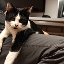 Pixel