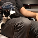 Pixel