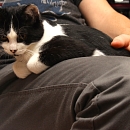 Pixel