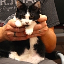 Pixel