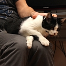 Pixel