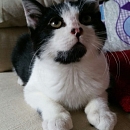 Pixel