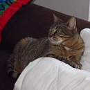 Yuki