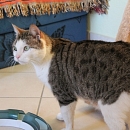 Igor
